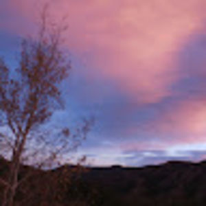 Meet your Posher, Lynne